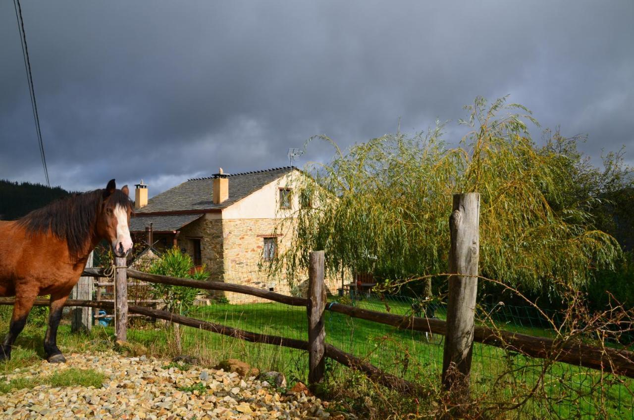 Apartamentos Rurales Tia Vicenta Santa Eulalia de Oscos Eksteriør billede