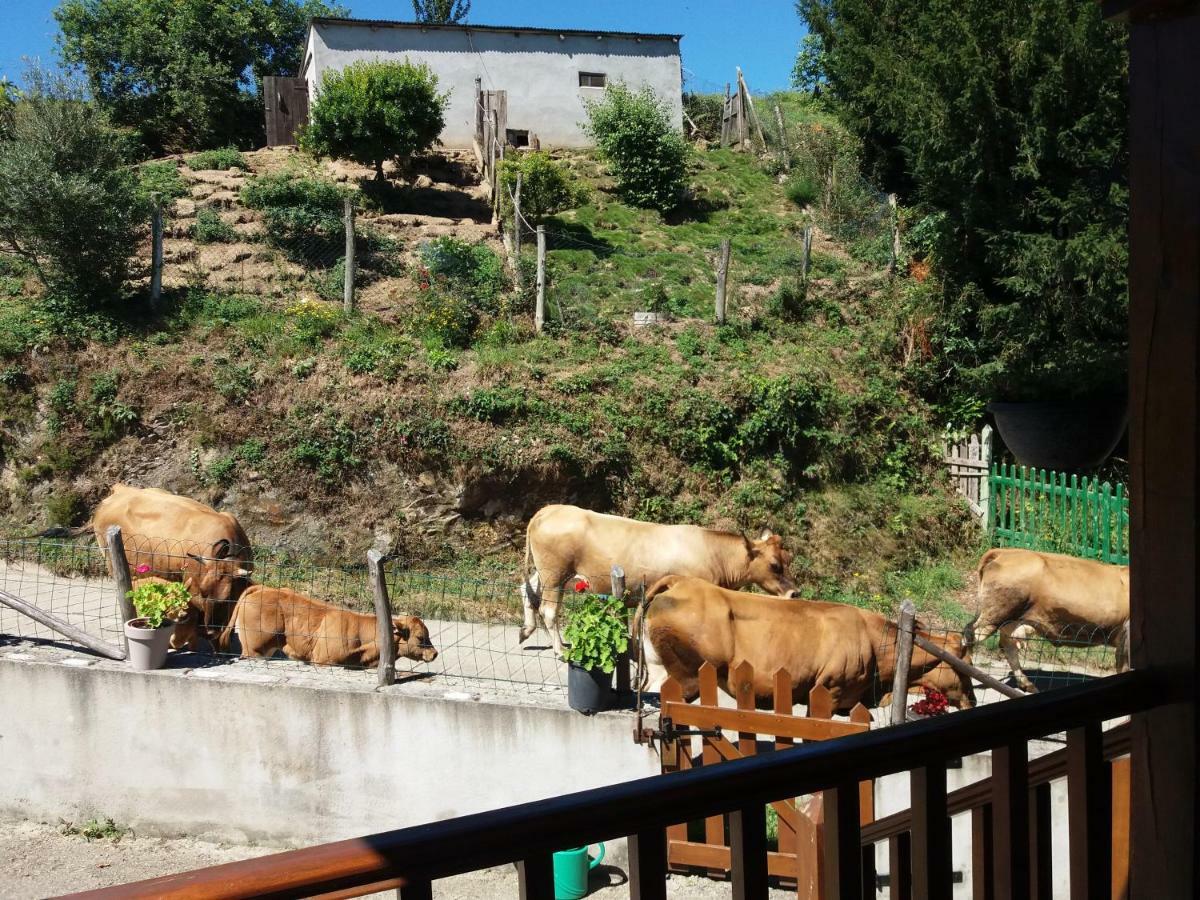 Apartamentos Rurales Tia Vicenta Santa Eulalia de Oscos Eksteriør billede