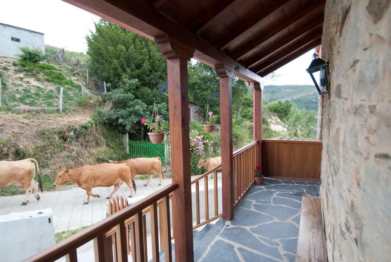 Apartamentos Rurales Tia Vicenta Santa Eulalia de Oscos Eksteriør billede